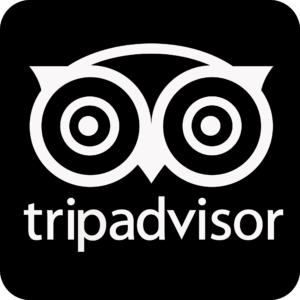 best reviews on tripadvisor
